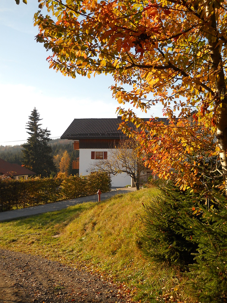 Ferienwohnungen Piller